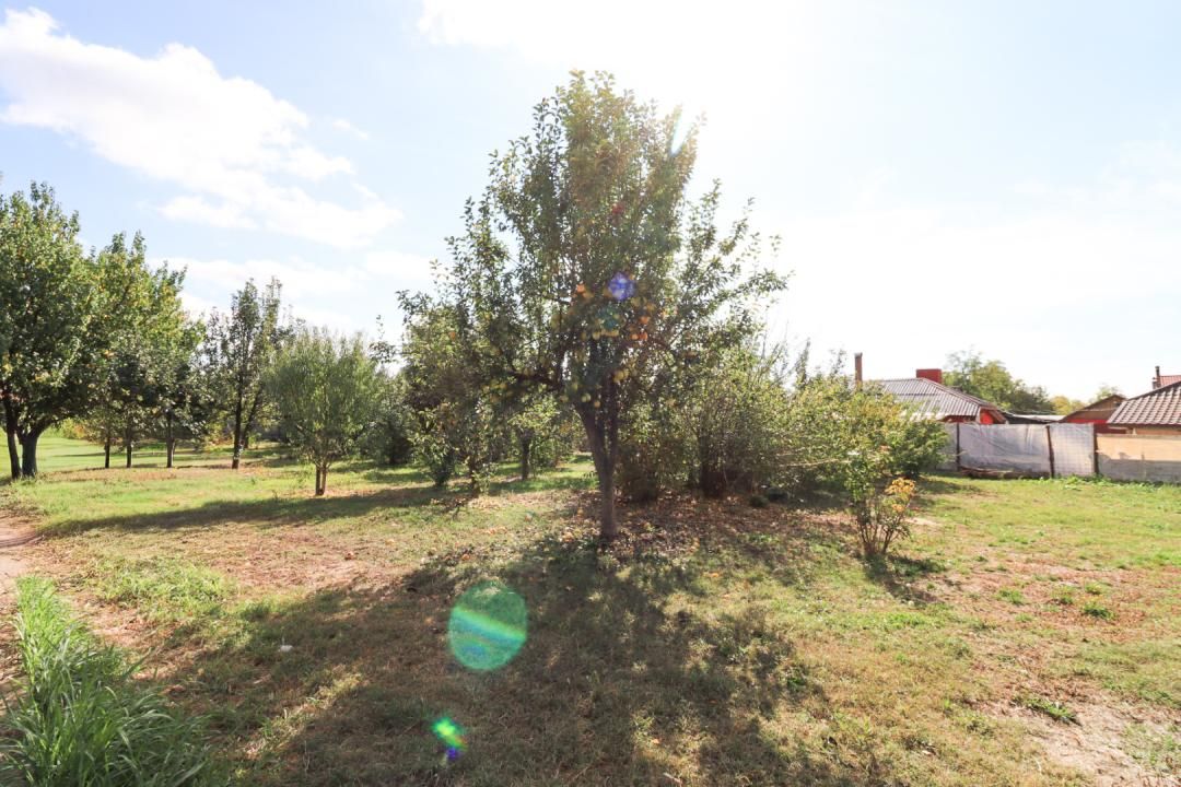 Spațiu comercial cu 3 camere de vânzare în Central, Tamadau Mare – fotografia 10 din 24
