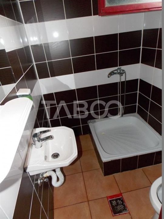Hotel / pensiune cu 13 camere de vânzare în Cârțișoara – fotografia 48 din 53