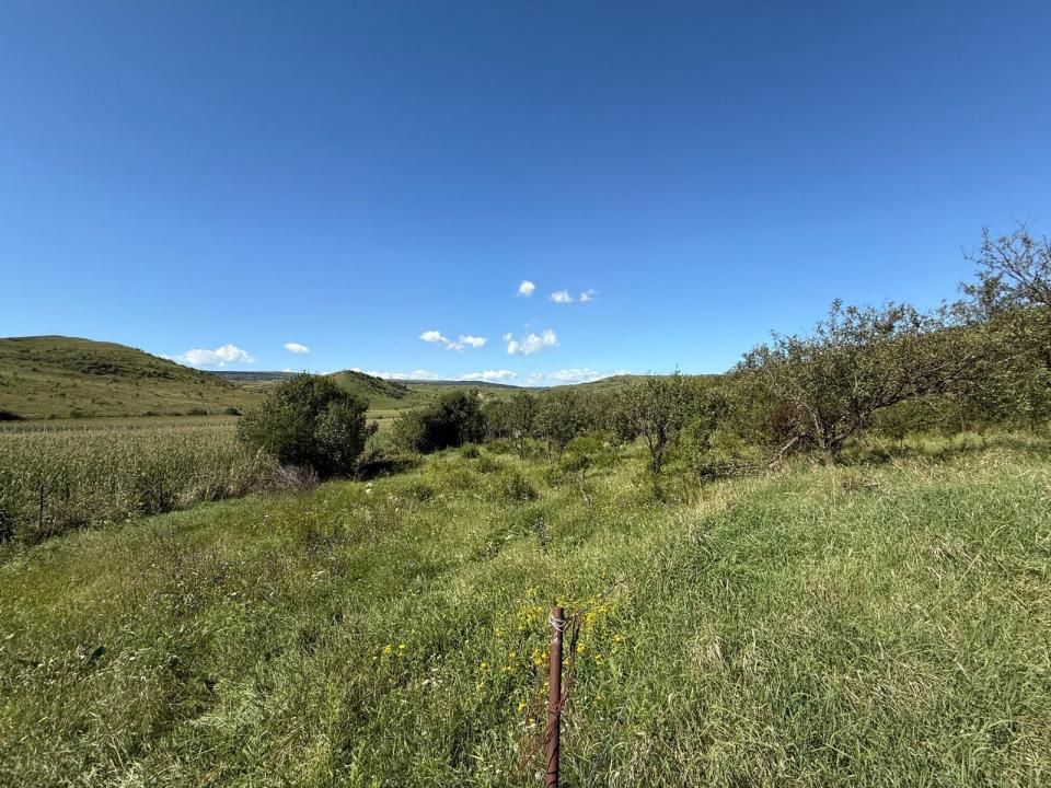 Teren de vânzare în Central, Pata – fotografia 3 din 7